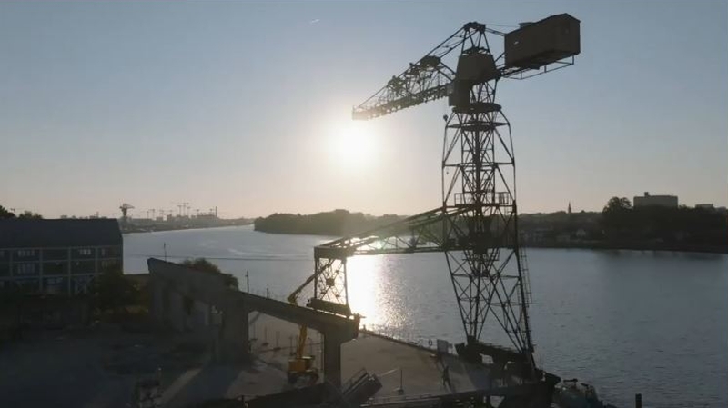 [Vidéo] La grue noire a retrouvé son lustre