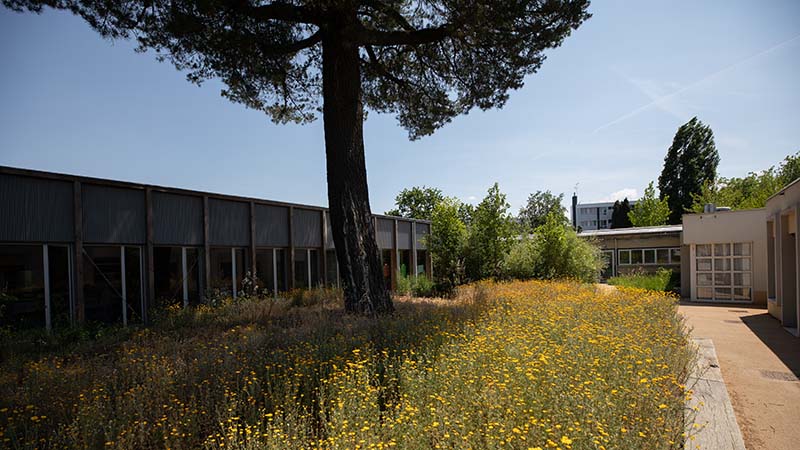 Le groupe scolaire Urbain le Verrier agrandi et rénové