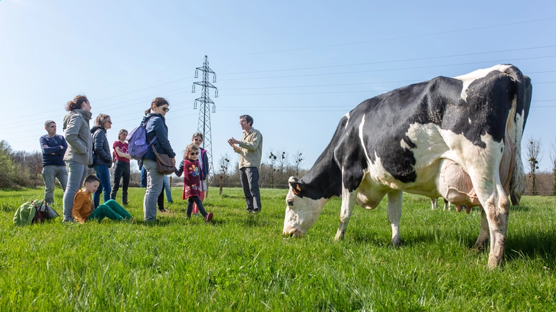 De Bouaye à Mauves, en passant par Bouguenais et Nantes, les acteurs de l’alimentation se mobilisent pour proposer, tout le week-end, des ateliers des balades, des marchés de producteurs, des portes ouvertes de fermes et de jardins… © Céline Jacq / Nantes Métropole