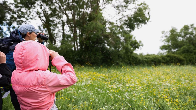 Au cœur du marais estuarien, entre averses drues et timides éclaircies, les écoliers ont observé aux jumelles un gigantesque nid de cigogne, perché sur un mât à plusieurs mètres de hauteur.© Garance Wester