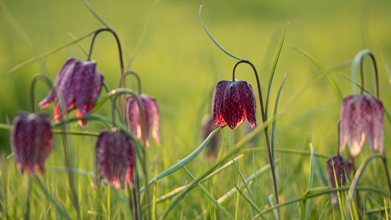 5 projets pour se reconnecter à la nature