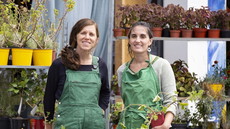 Le chantier d’insertion fondé par Aude Couturier et Solène Mahé sauve les végétaux de la poubelle, les remet en état et les revend à petits prix grâce à une équipe de six salariés en réinsertion. © Christiane Blanchard