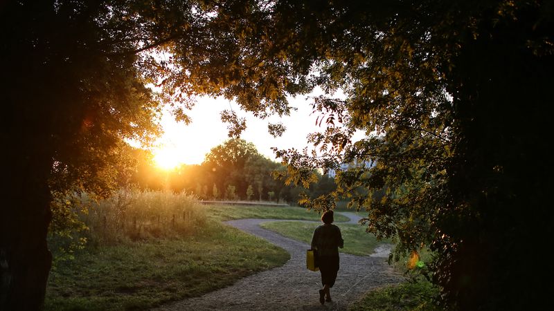Le parc Beaulieu, à Nantes. © Romain Boulanger Le parc Beaulieu, à Nantes. © Romain Boulanger