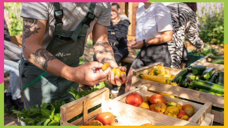 Dans le livret « Potagers solidaires au fil des saisons », les jardiniers-cuisiniers impliqués dans les Paysages nourriciers partagent leurs astuces de jardinage et bonnes recettes. © Céline Jacq