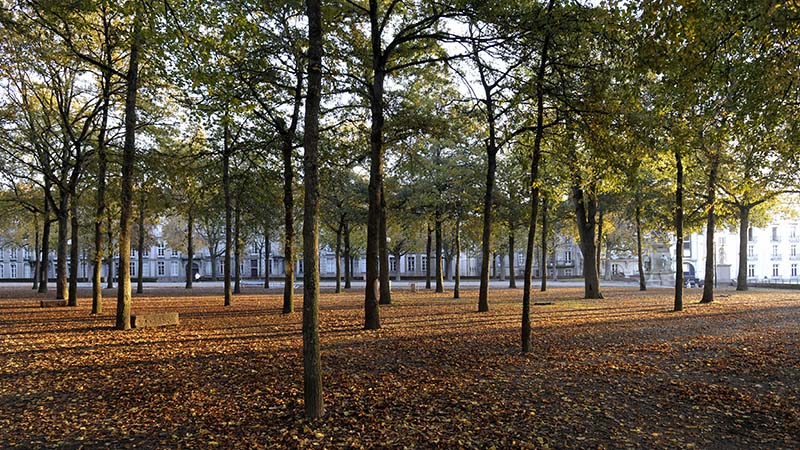 Cours Saint-Pierre, la Ville a testé l’hydroseeding, une méthode de semis par projection hydraulique, pour végétaliser l’espace. © Romain Boulanger