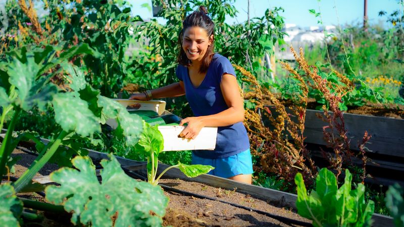 Olga Bonazer dans le potager de la Cantine, un espace de 1 000 m² dont plus de 600 m² de surfaces cultivées.