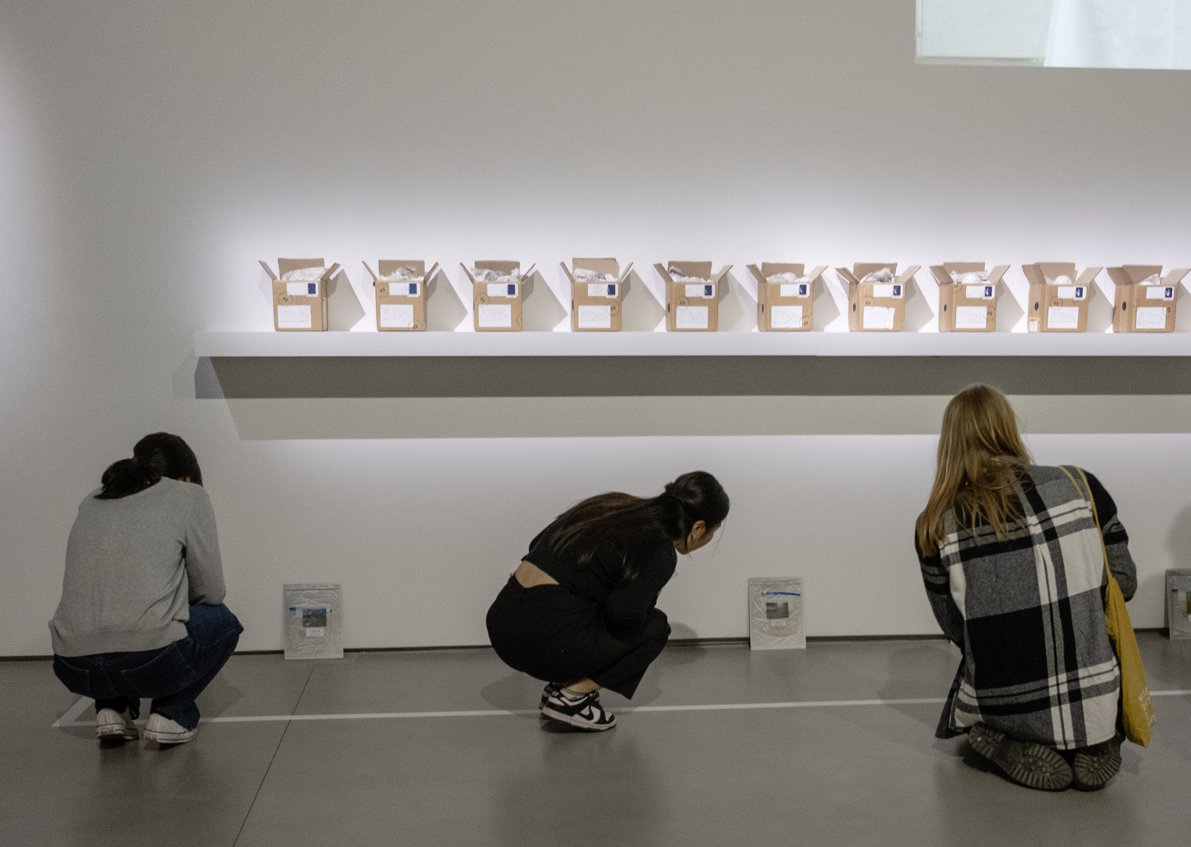 Musée des étudiants 2024 - Musée d'arts de Nantes