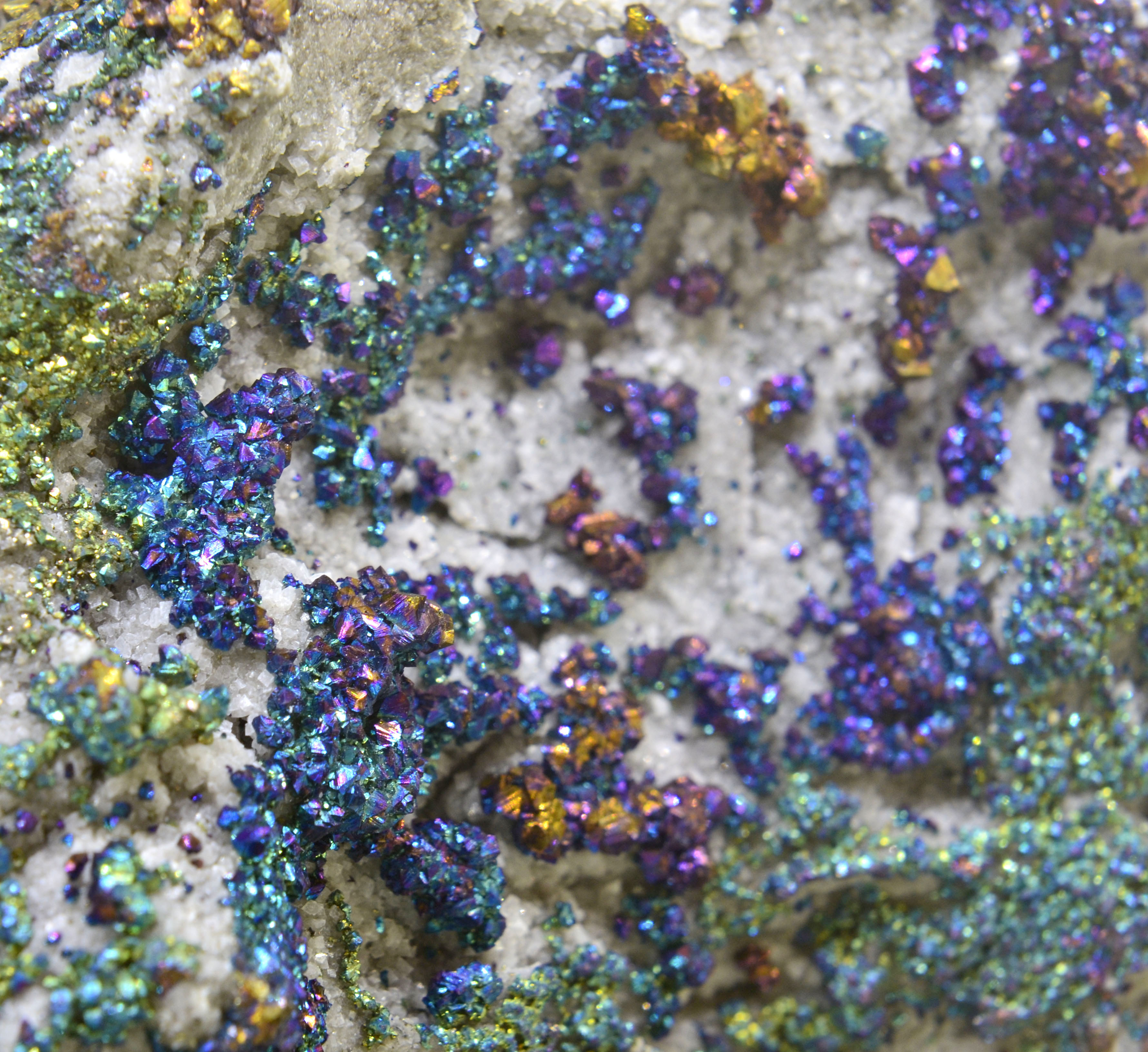 Echantillon de chalcopyrite