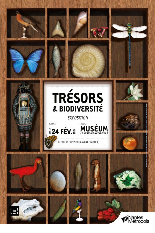 tresorsetbiodiversiteBD.JPG