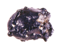 MHNN.G.000184.jpg