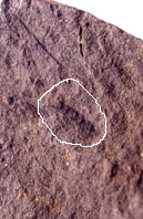 030227.jpg