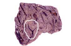 030837_1.jpg