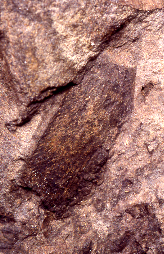 P.030230.1.jpg