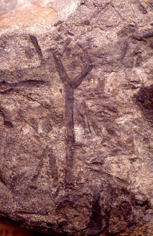 P.030230.2.jpg