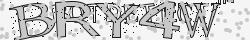 Saisir le CAPTCHA dans l'image
