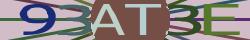 Saisir le CAPTCHA dans l'image